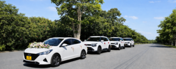 Private chauffeur-driven car rental packages